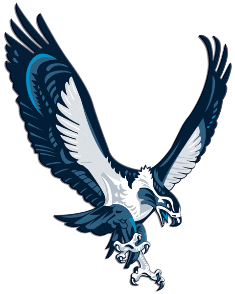 Seattle Seahawks 2002-2011 Alternate Logo DIY iron on transfer (heat transfer)